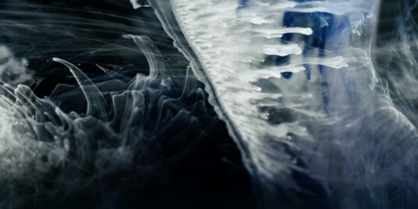 LADU_screen 2 LADU_screen 2